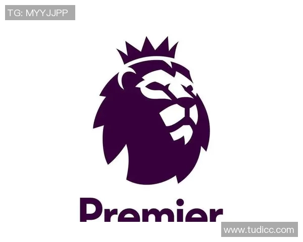 英格兰足球超级联赛发展历程与未来展望分析