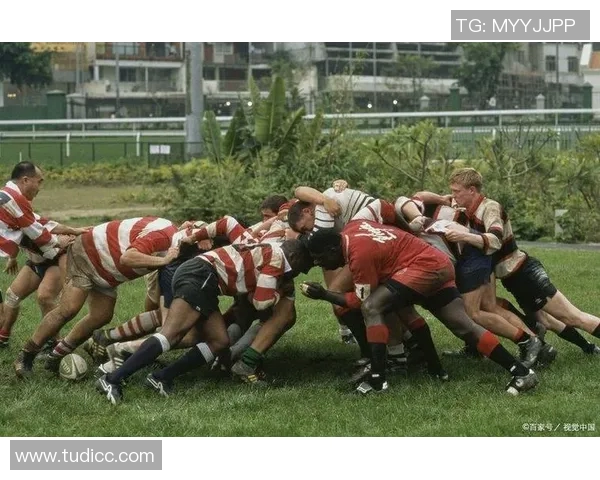 橄榄球运动的起源与发展：从美国到全球的热潮与文化传承