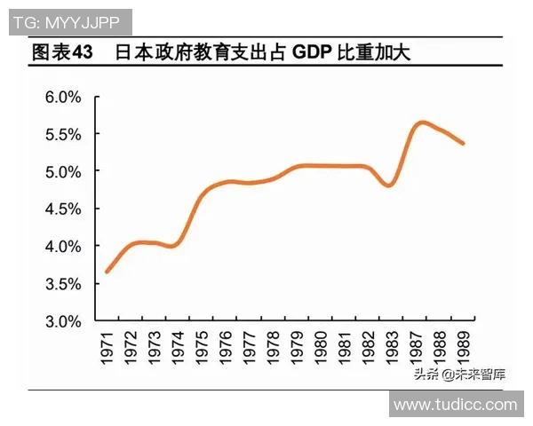 选举制度与民主发展的互动关系：从全球视角探讨选举改革对社会变革的推动作用